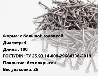 Гвоздь с большой головкой 4х100 ГОСТ: ТУ 25.93.14-009-29684338-2018 без покрытия 25